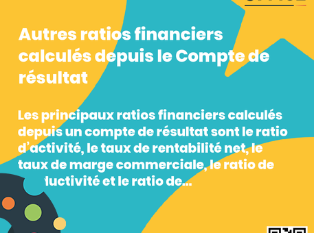 Definition Autres ratios financiers calculés depuis le Compte de résultat 