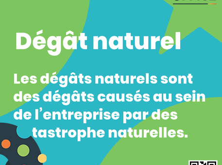 Definition Dégât naturel 