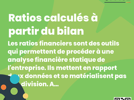 Definition Ratios calculés à partir du bilan 