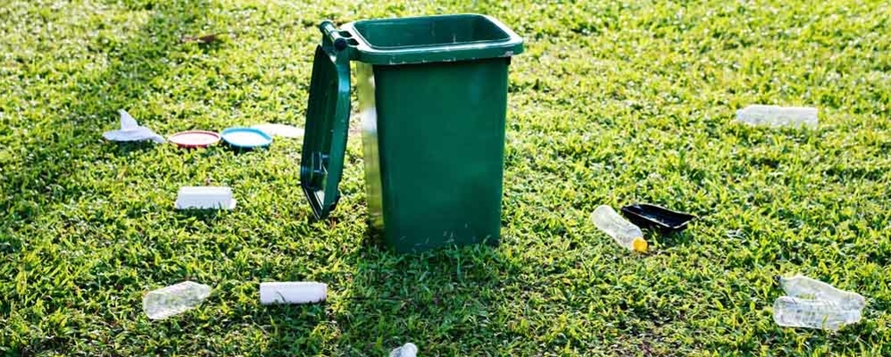Comment mettre votre entreprise au vert