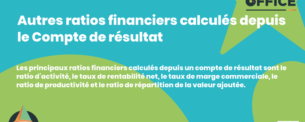 Definition Autres ratios financiers calculés depuis le Compte de résultat 
