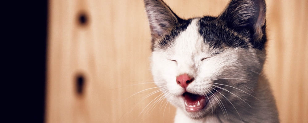 Scarica Gratis Images Les Blagues Les Plus Hallucinantes A Faire A Vos Collegues Magic dernière salutations