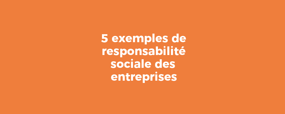 société de la responsabilité des entreprises, responsabilité sociale, durabilité